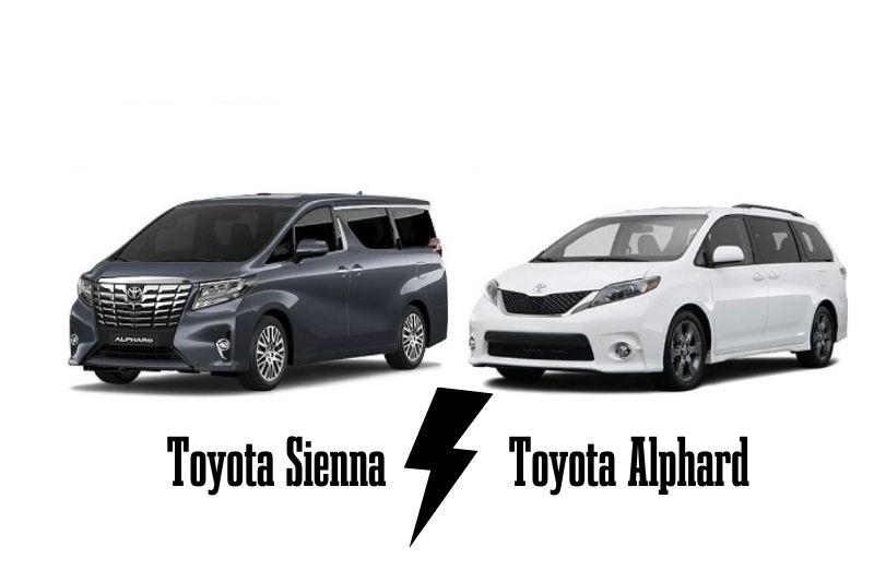 Toyota Alphard và Sienna​